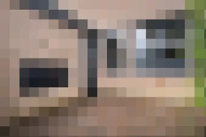 Mackayware 15 Zwolle thumbnail 36