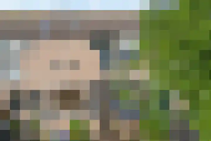 Mackayware 15 Zwolle thumbnail 37