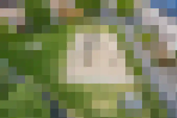 Mackayware 15 Zwolle thumbnail 40