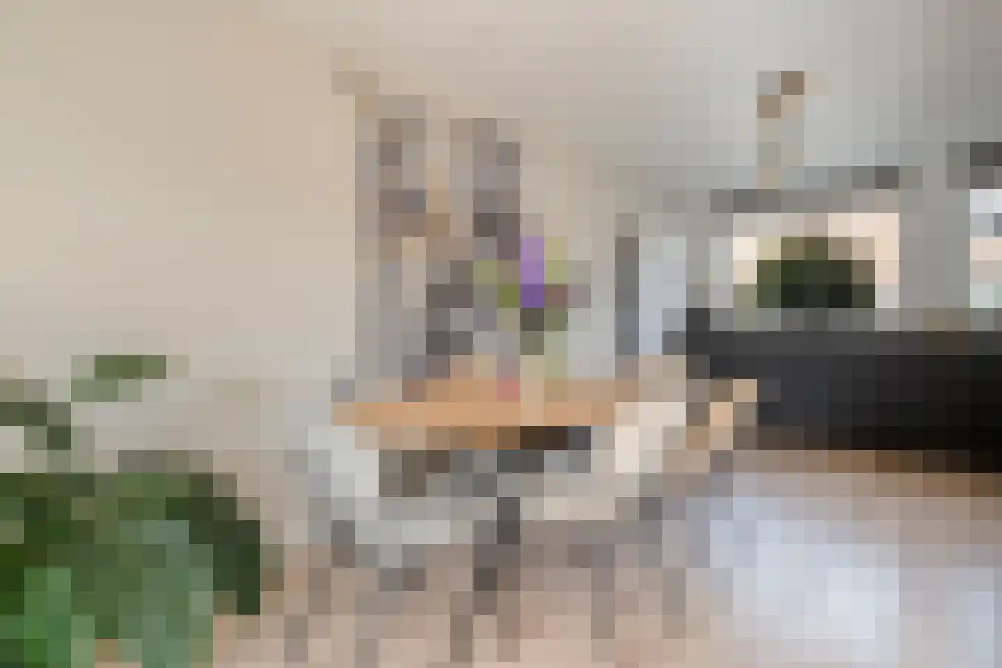 Mackayware 32 Zwolle thumbnail 13