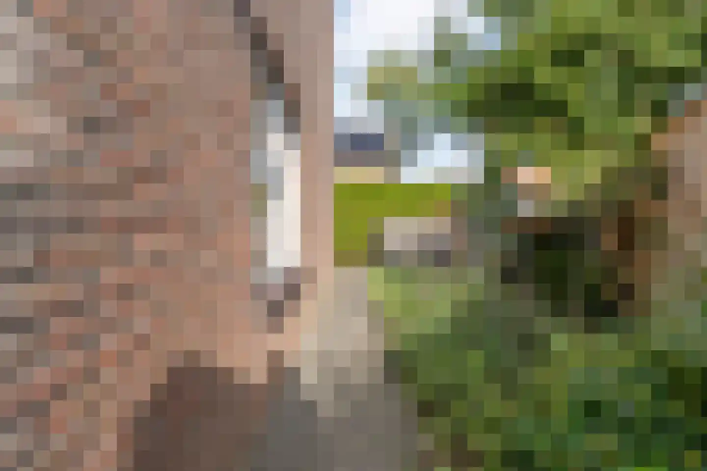 Mackayware 32 Zwolle thumbnail 45