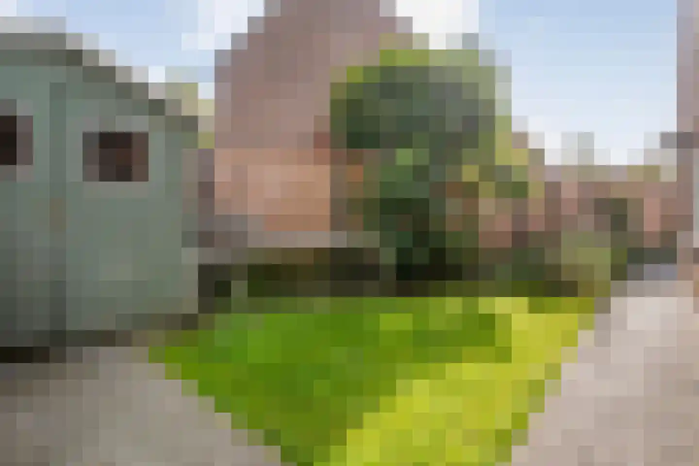 Mackayware 32 Zwolle thumbnail 47
