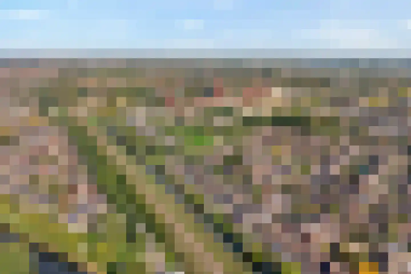 Mackayware 32 Zwolle thumbnail 49