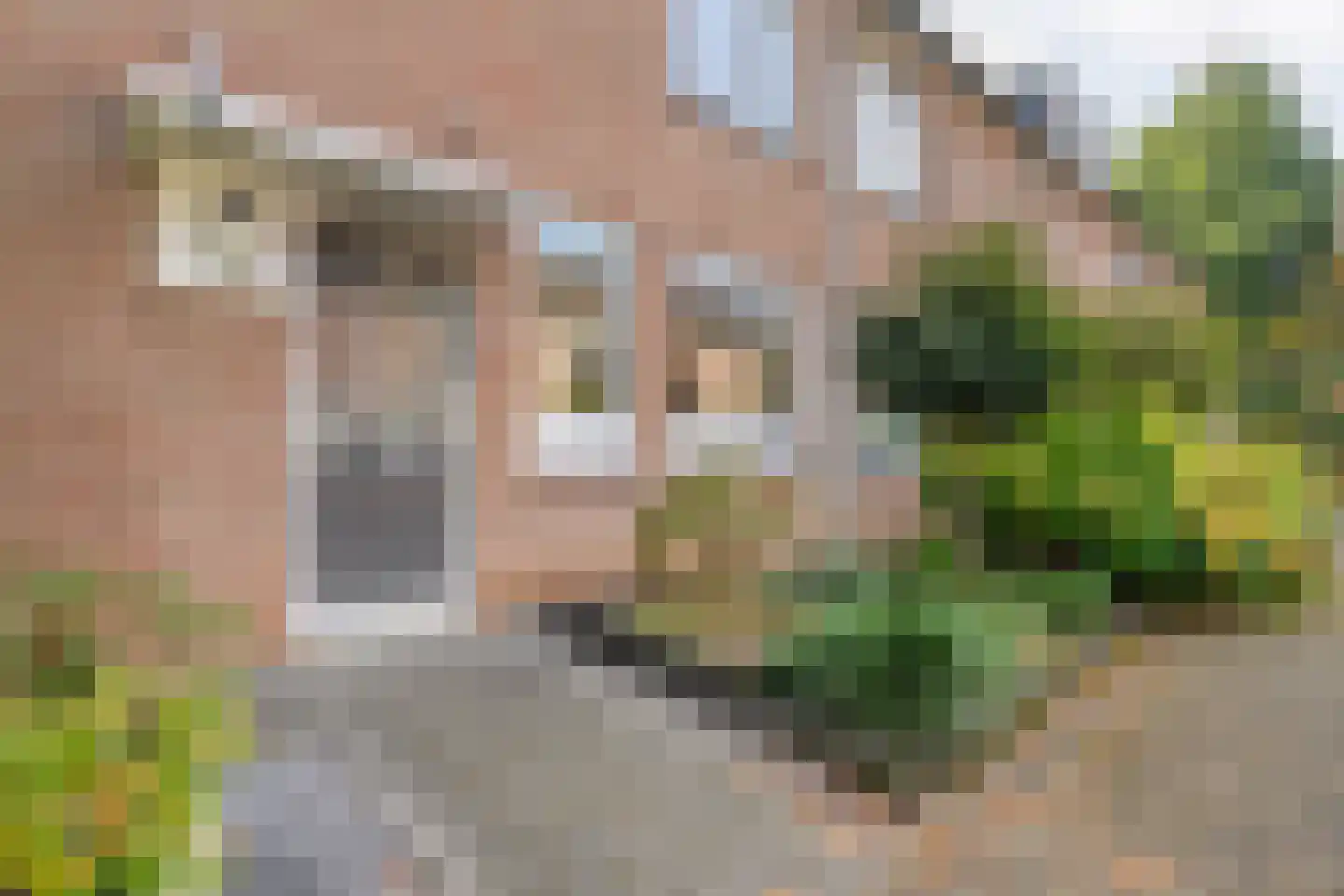 Mackayware 32 Zwolle thumbnail 5
