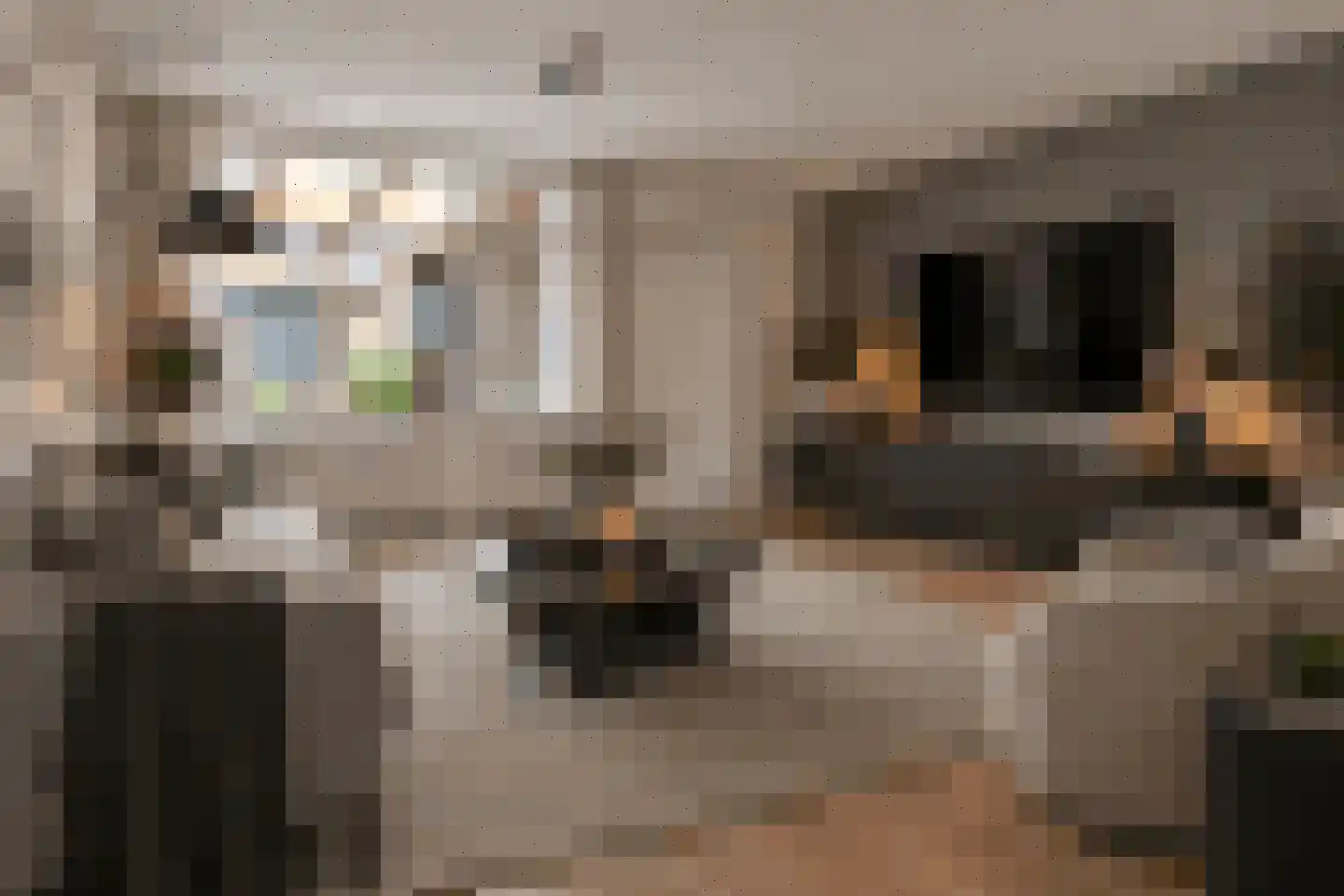Mackayware 48 Zwolle thumbnail 11