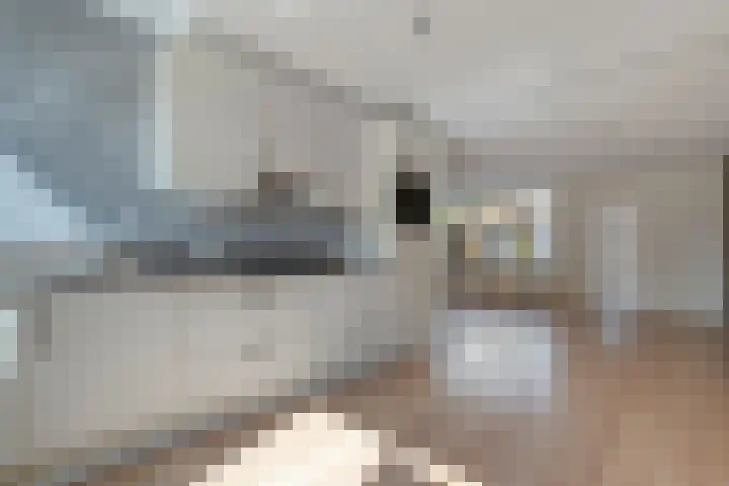 Mackayware 48 Zwolle thumbnail 17