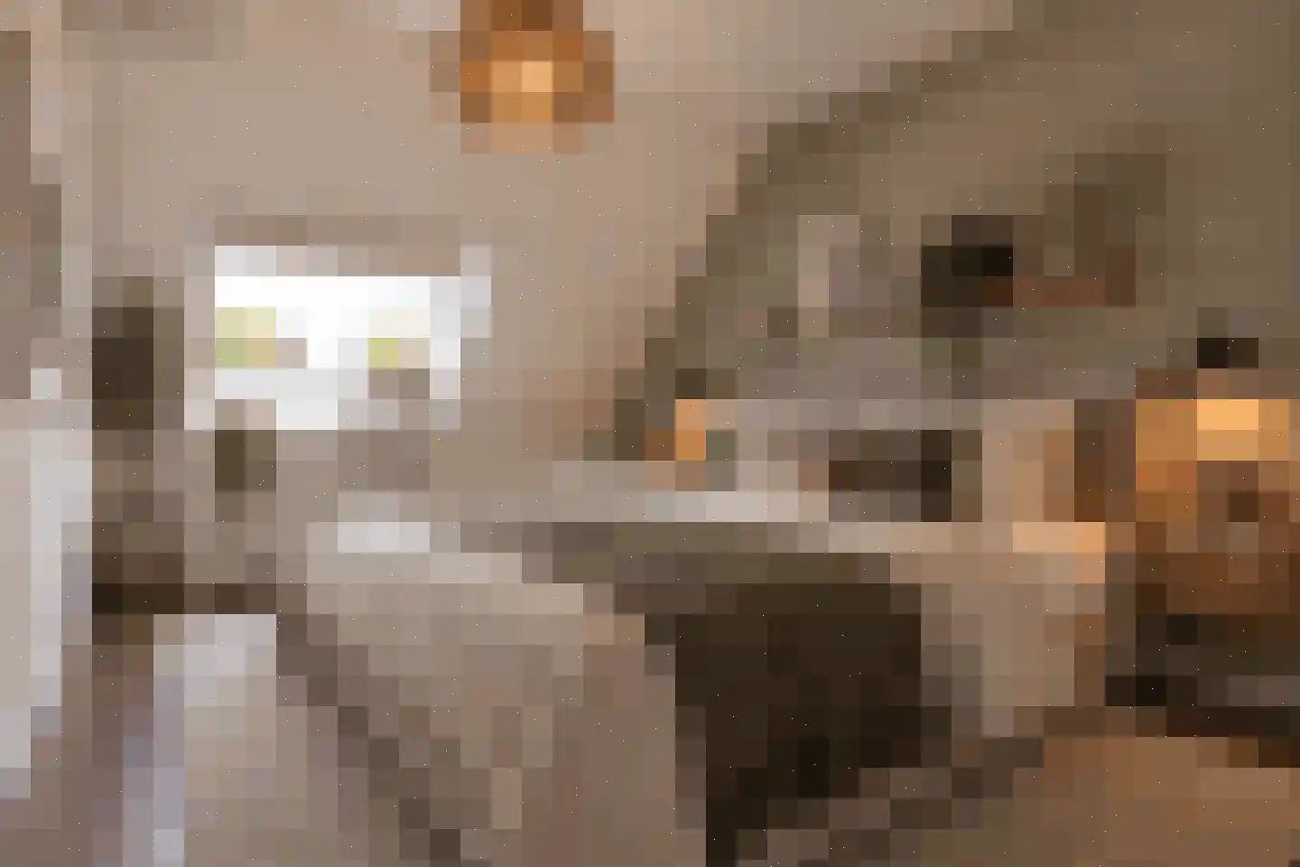 Mackayware 48 Zwolle thumbnail 25