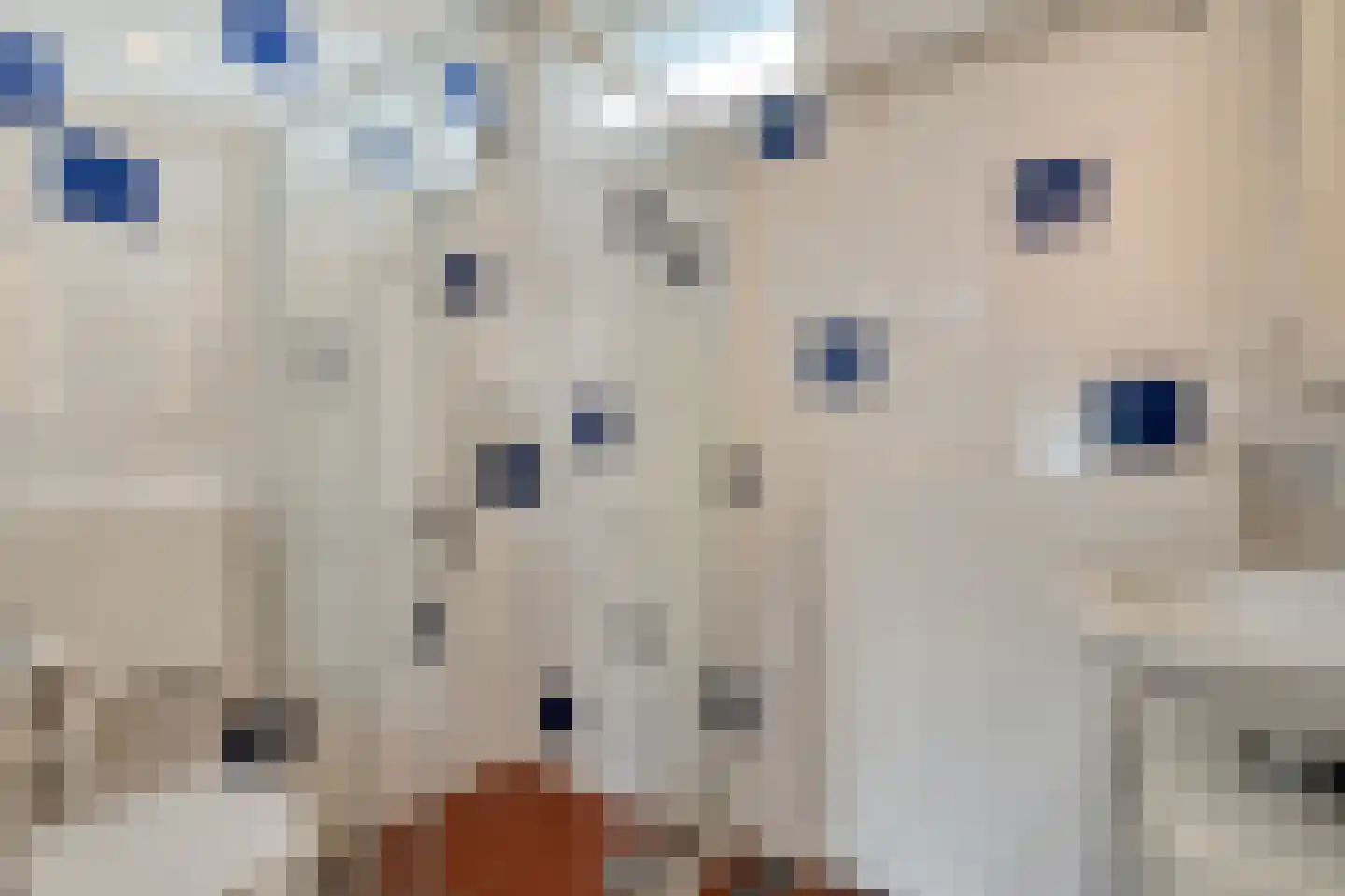 Mackayware 68 Zwolle thumbnail 25