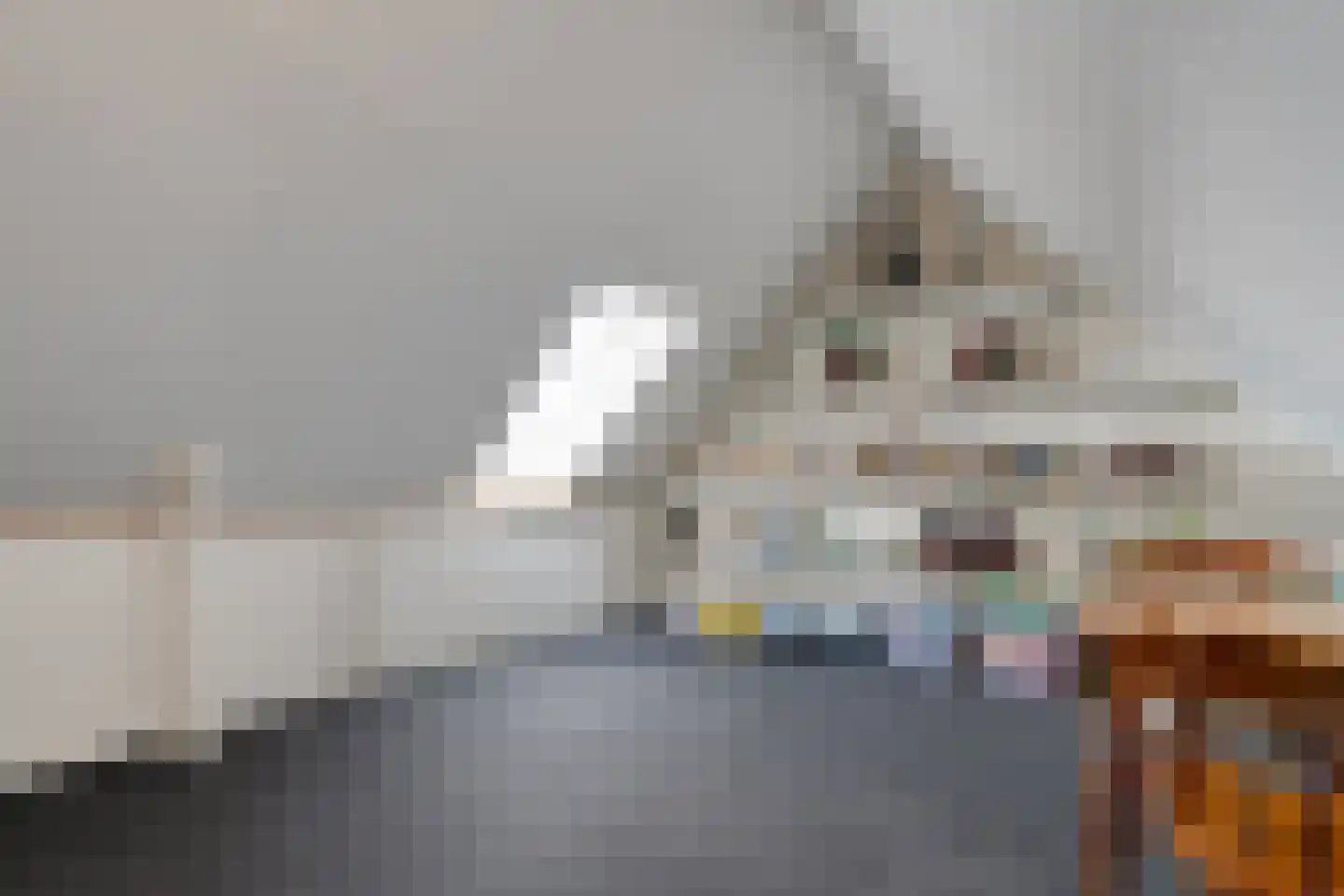 Mackayware 68 Zwolle thumbnail 27