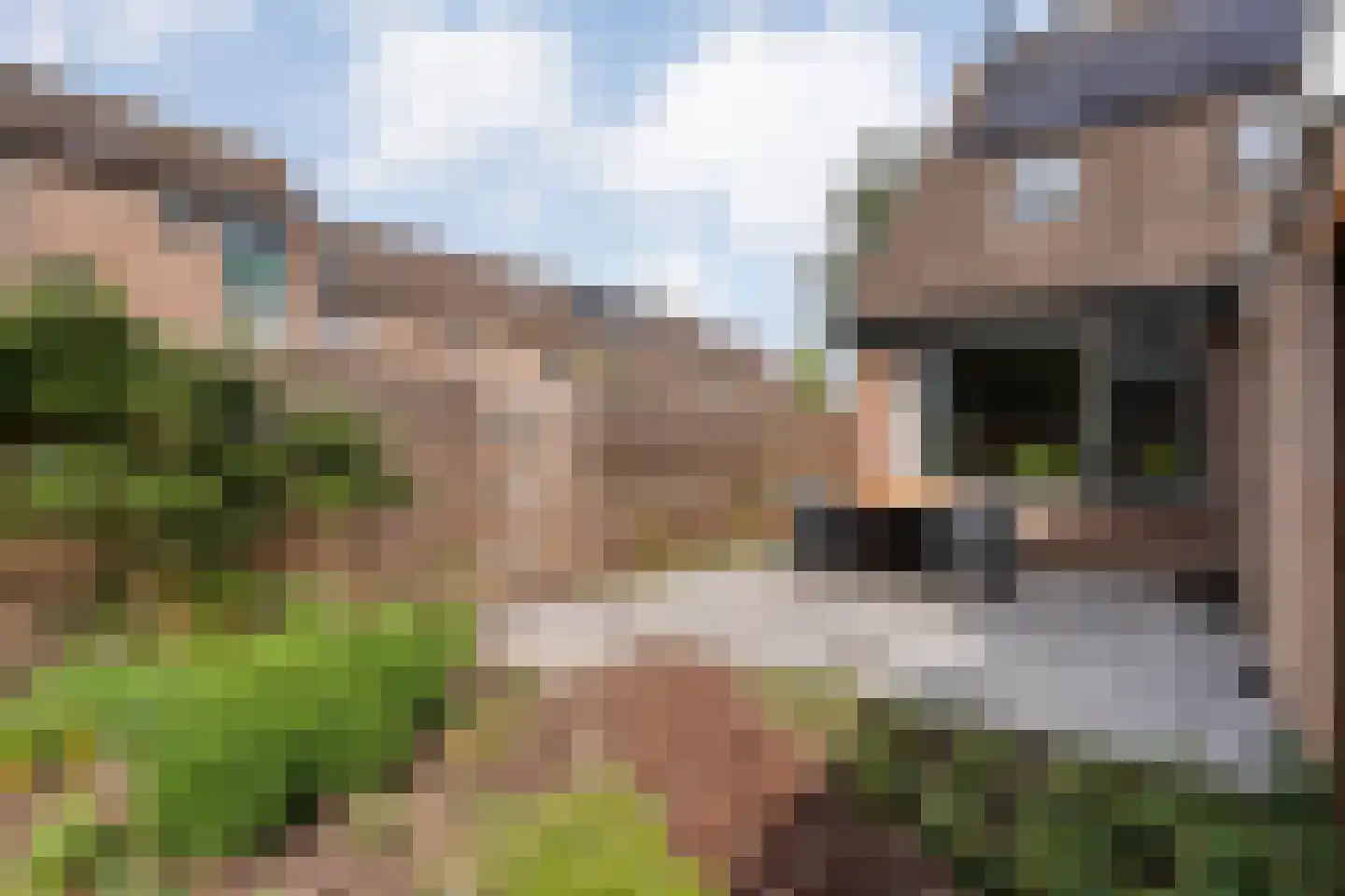 Mackayware 68 Zwolle thumbnail 34
