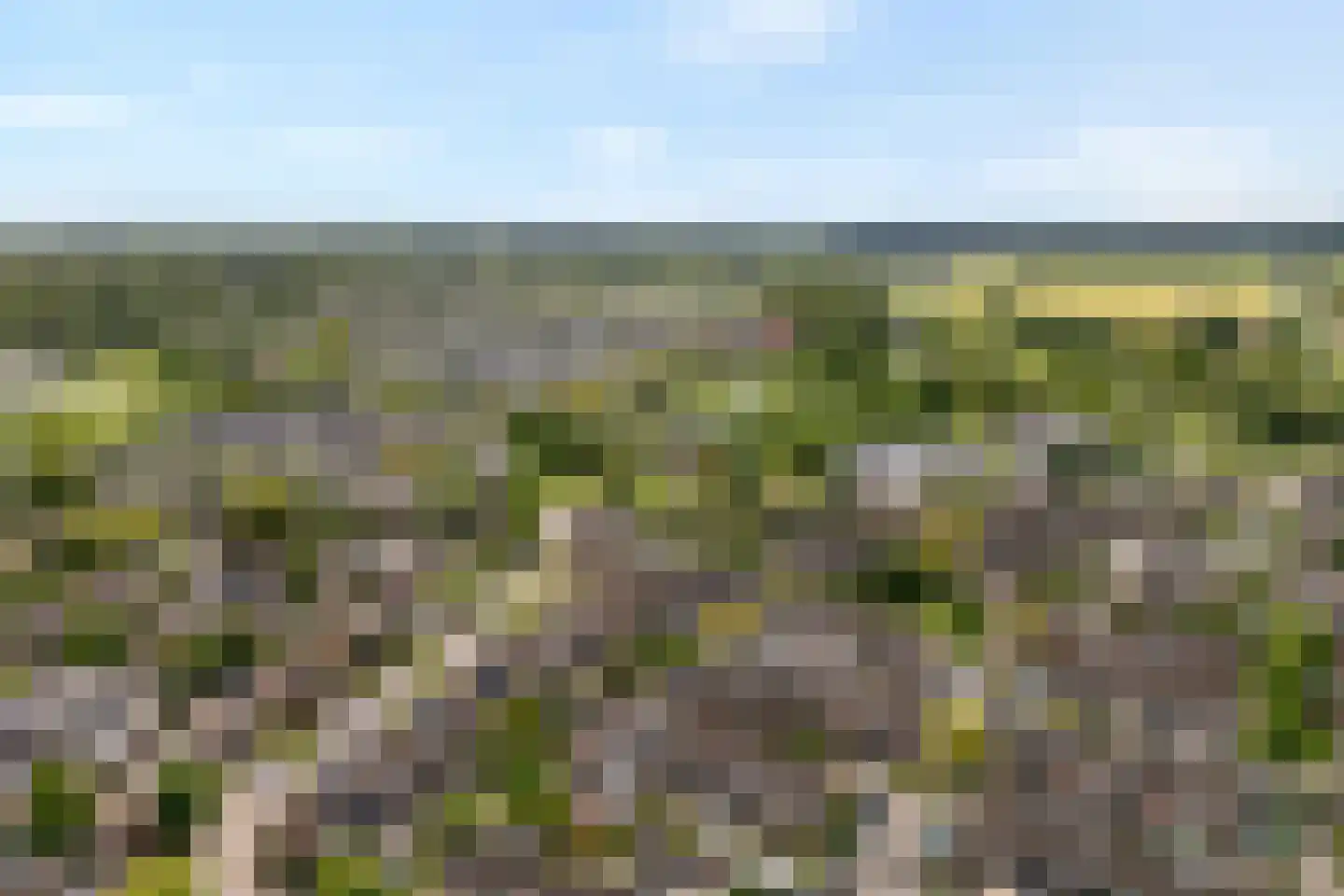 Mackayware 68 Zwolle thumbnail 36
