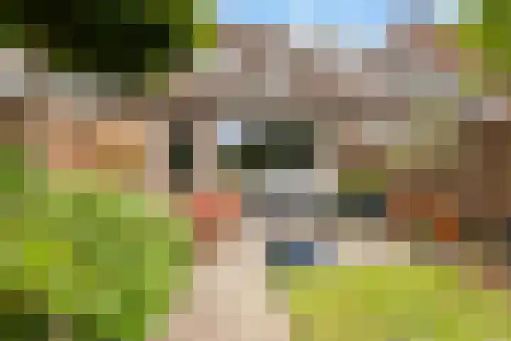 Mackayware 7 Zwolle thumbnail 10