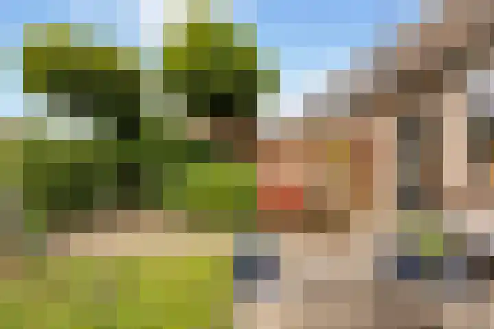 Mackayware 7 Zwolle thumbnail 11
