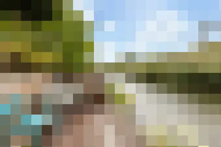 Mackayware 7 Zwolle thumbnail 12