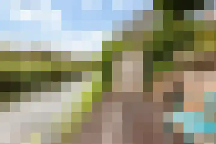 Mackayware 7 Zwolle thumbnail 13