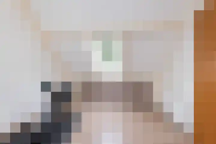 Mackayware 7 Zwolle thumbnail 20