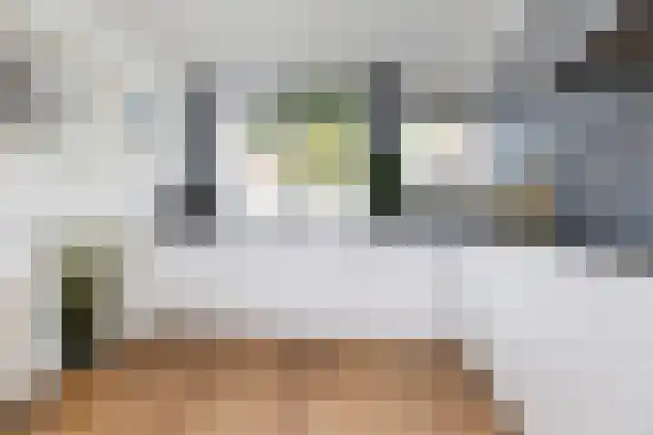 Mackayware 7 Zwolle thumbnail 5