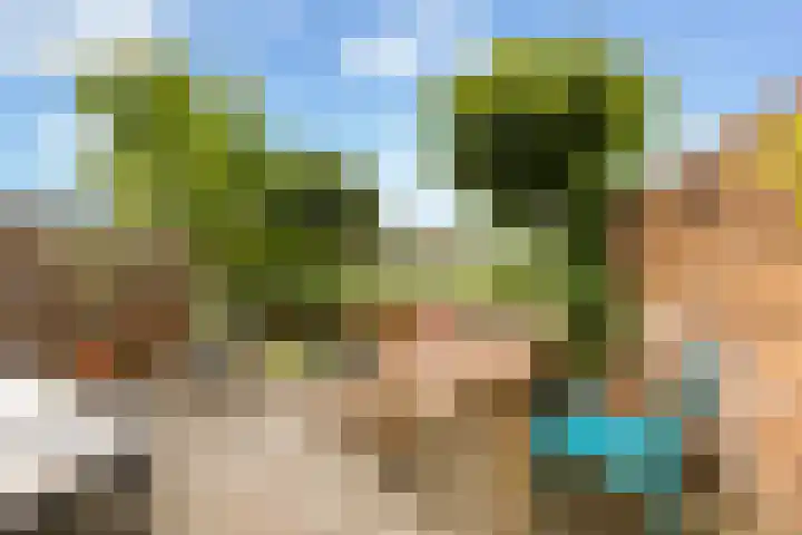 Mackayware 7 Zwolle thumbnail 9
