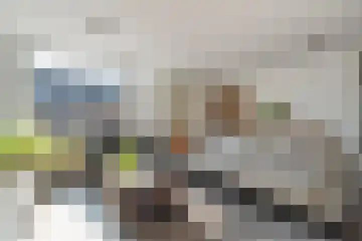 Mackayware 70 Zwolle thumbnail 12
