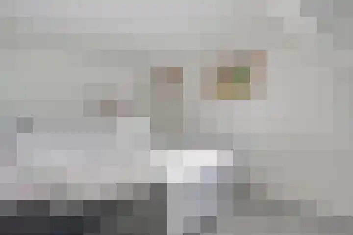 Mackayware 70 Zwolle thumbnail 21