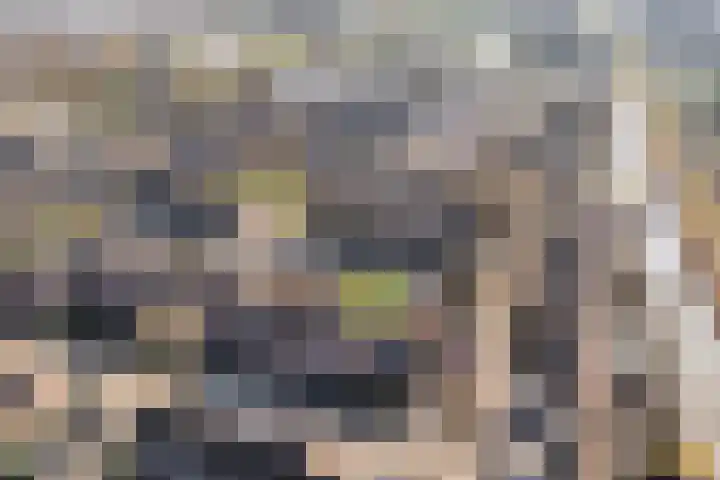 Mackayware 70 Zwolle thumbnail 4