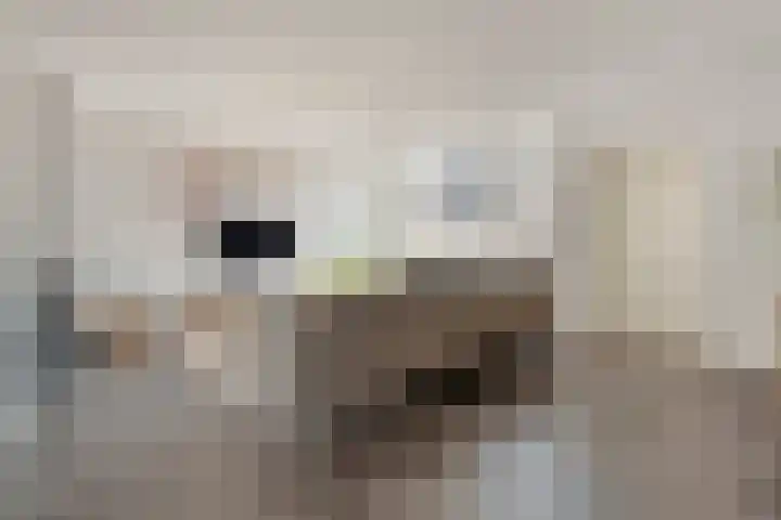 Mackayware 70 Zwolle thumbnail 9