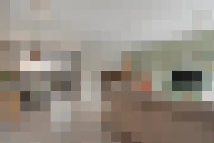 Mackayware 90 Zwolle thumbnail 12