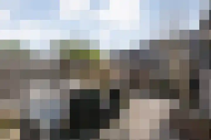 Mackayware 90 Zwolle thumbnail 35