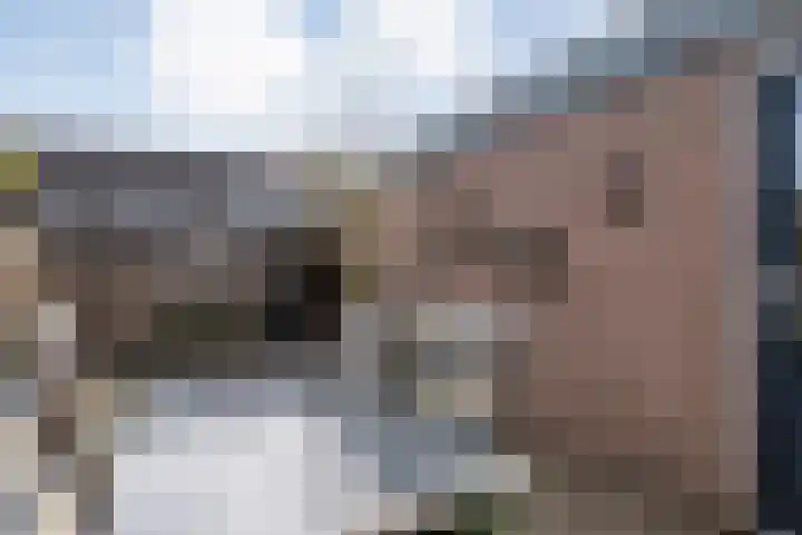 Mackayware 90 Zwolle thumbnail 36