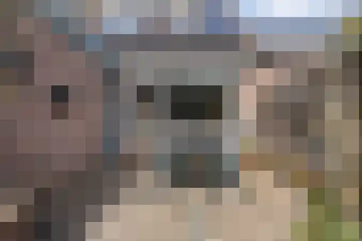 Mackayware 90 Zwolle thumbnail 37
