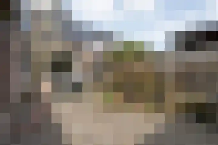 Mackayware 90 Zwolle thumbnail 38
