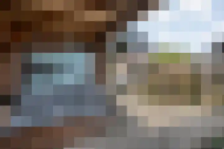 Mackayware 90 Zwolle thumbnail 39