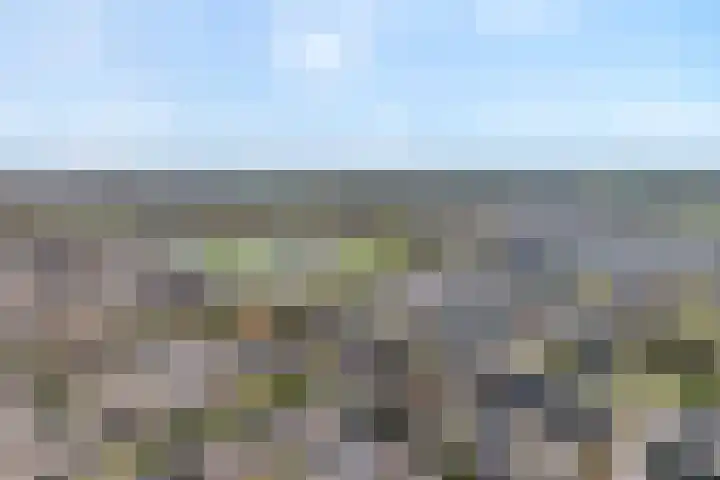 Mackayware 90 Zwolle thumbnail 4