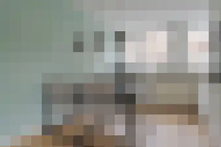 Mackayware 98 Zwolle thumbnail 17