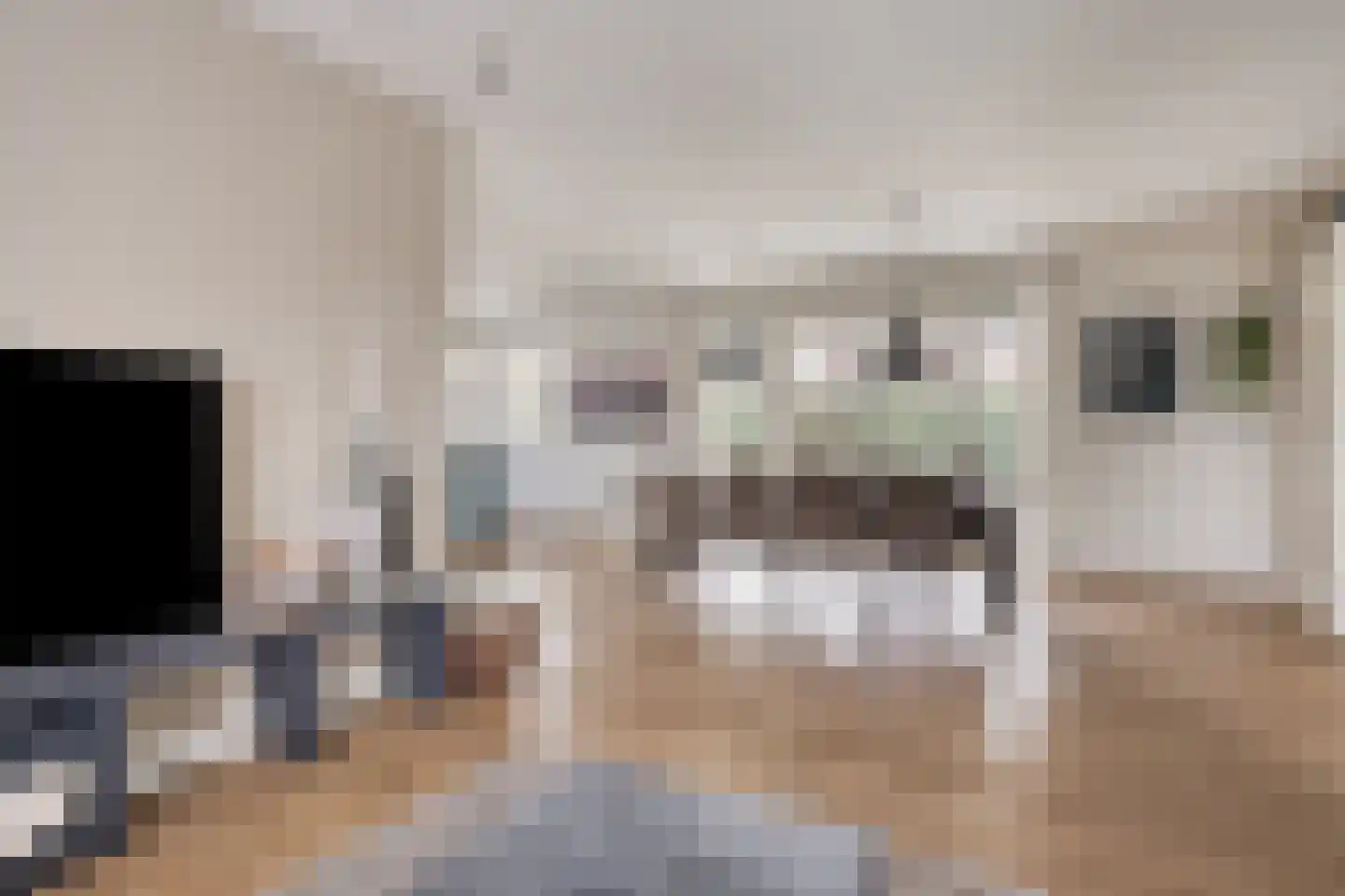 Mackenhof 14 Schaijk thumbnail 17