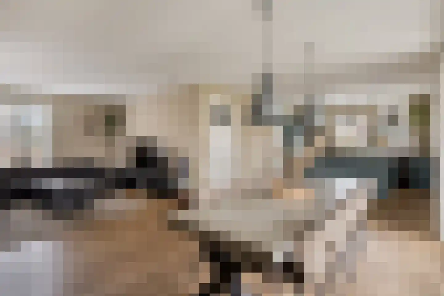 Mackenhof 14 Schaijk thumbnail 20