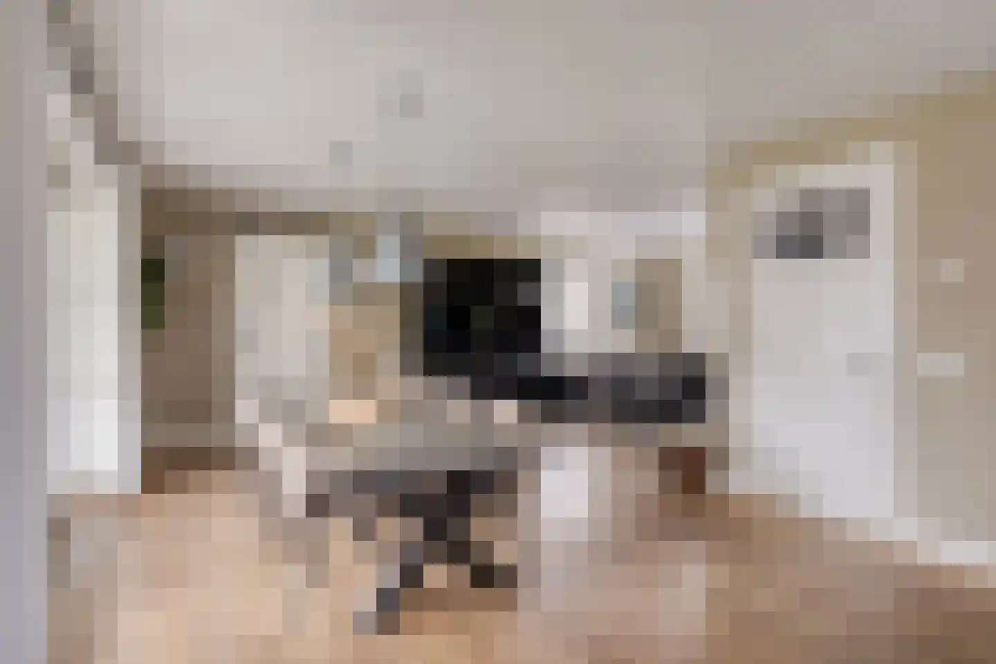 Mackenhof 14 Schaijk thumbnail 21