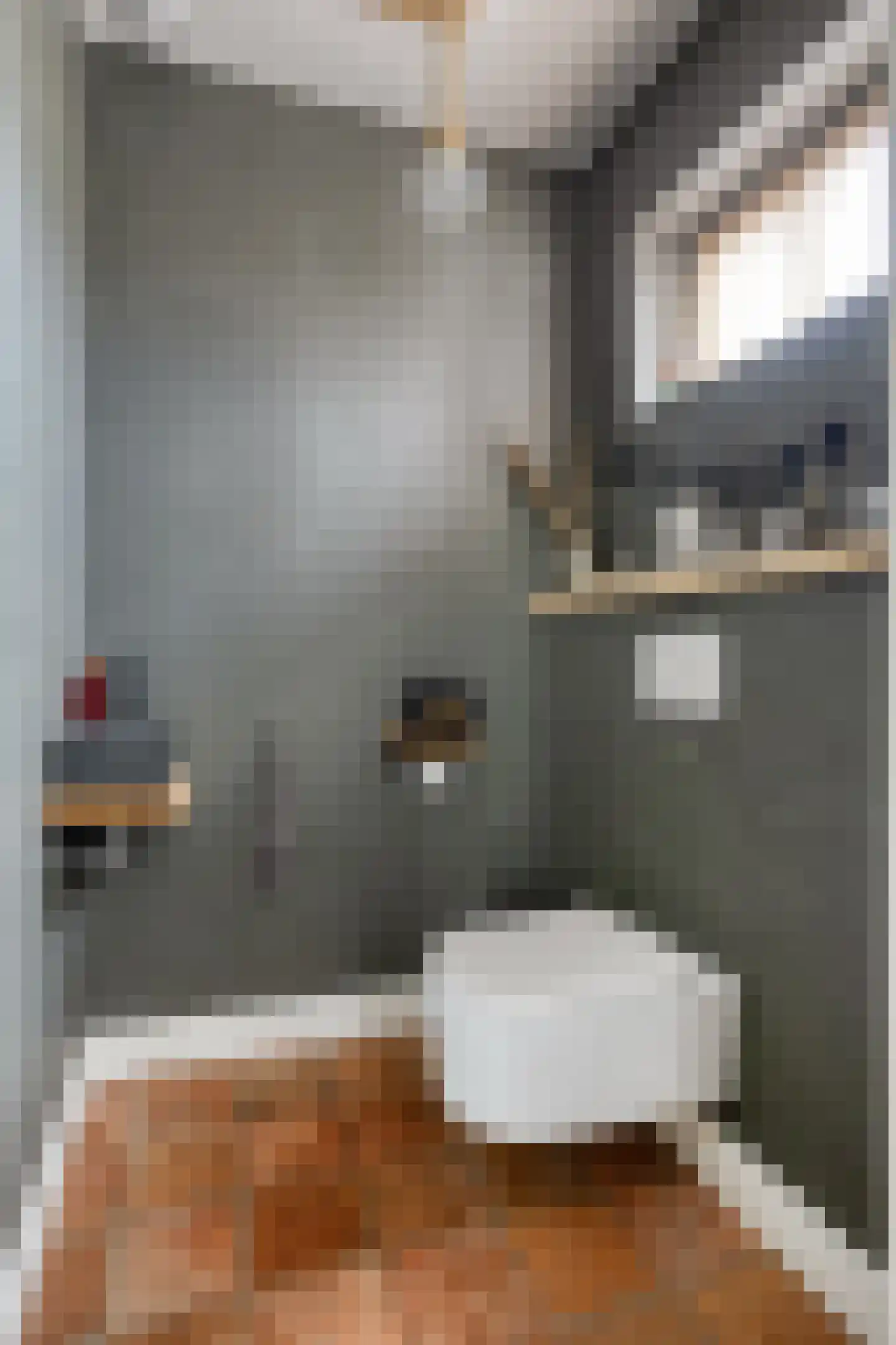 Mackenhof 14 Schaijk thumbnail 27