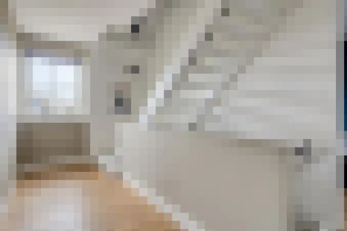 Mackenhof 14 Schaijk thumbnail 33