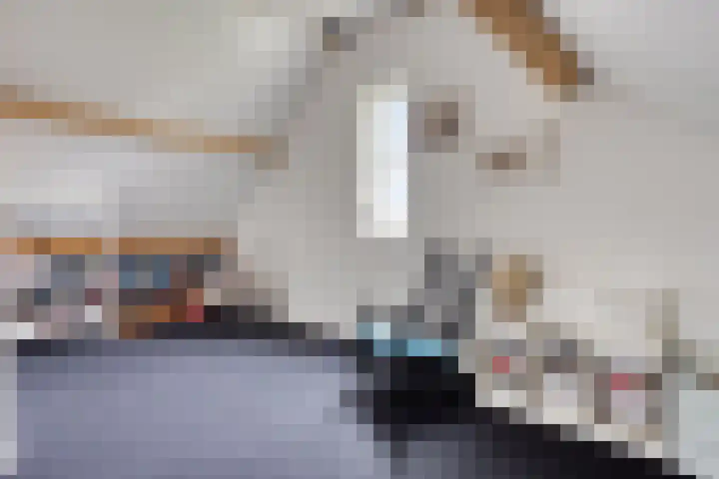 Mackenhof 14 Schaijk thumbnail 43