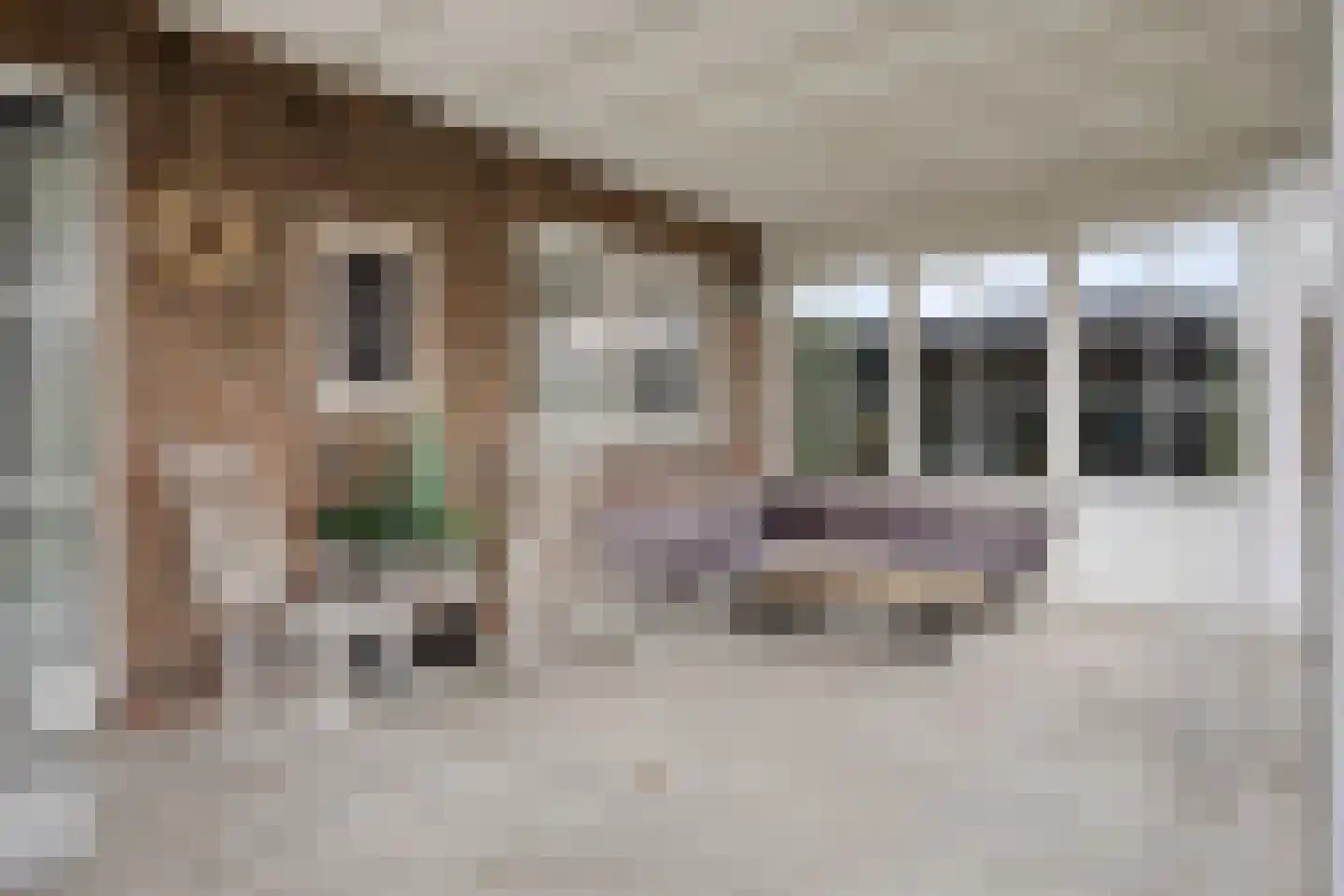 Mackenhof 14 Schaijk thumbnail 49