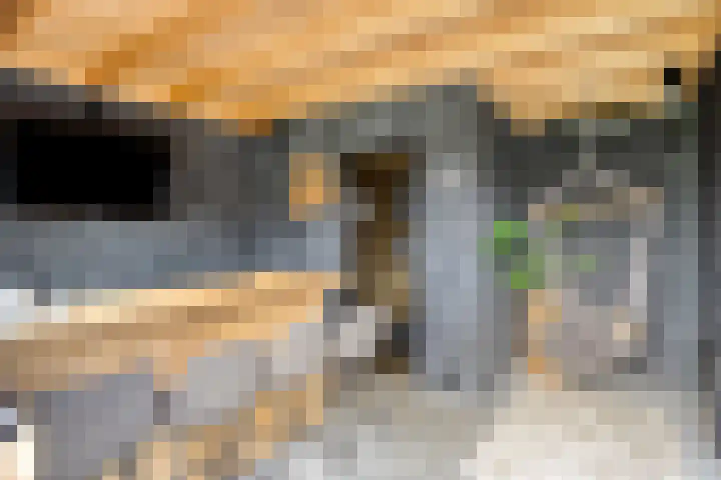 Mackenhof 14 Schaijk thumbnail 52