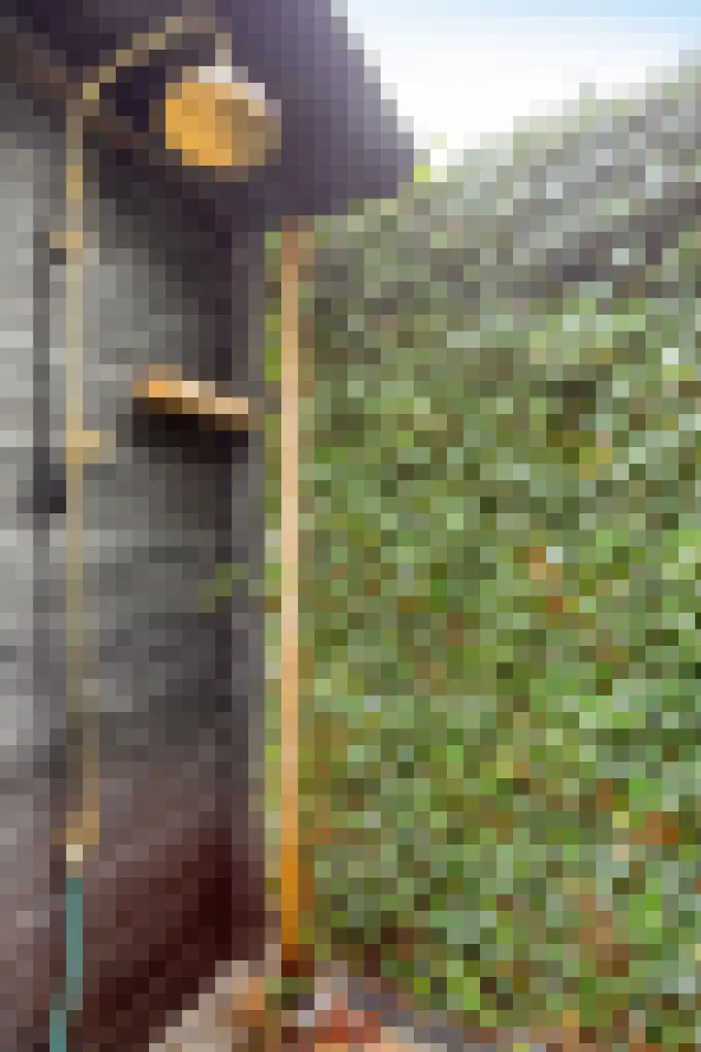 Mackenhof 14 Schaijk thumbnail 55