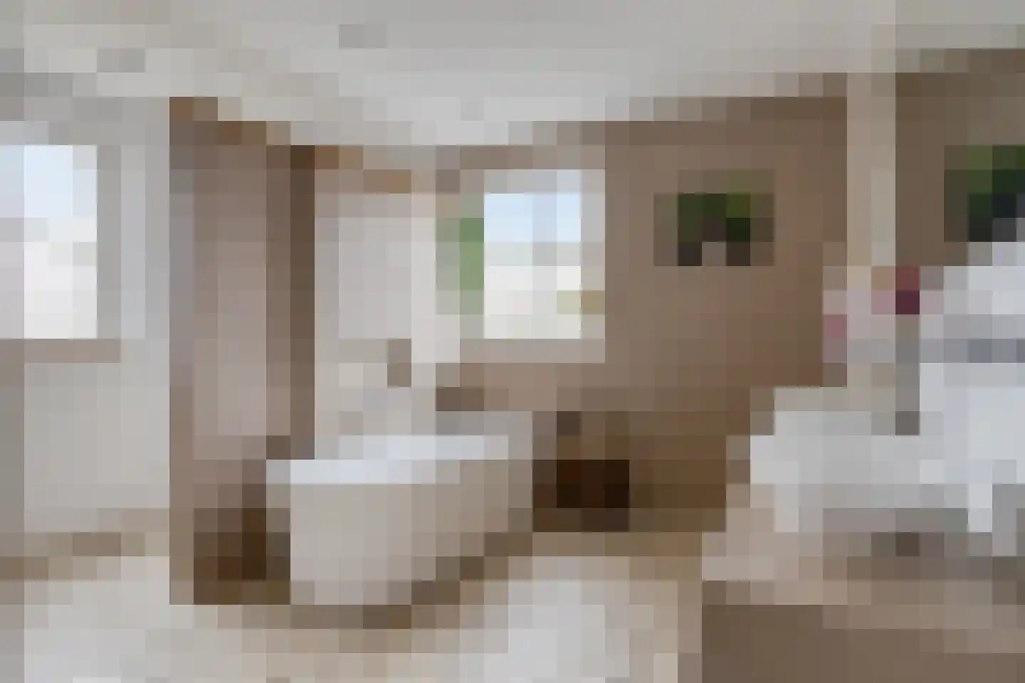 Mackenhof 14 Schaijk thumbnail 6