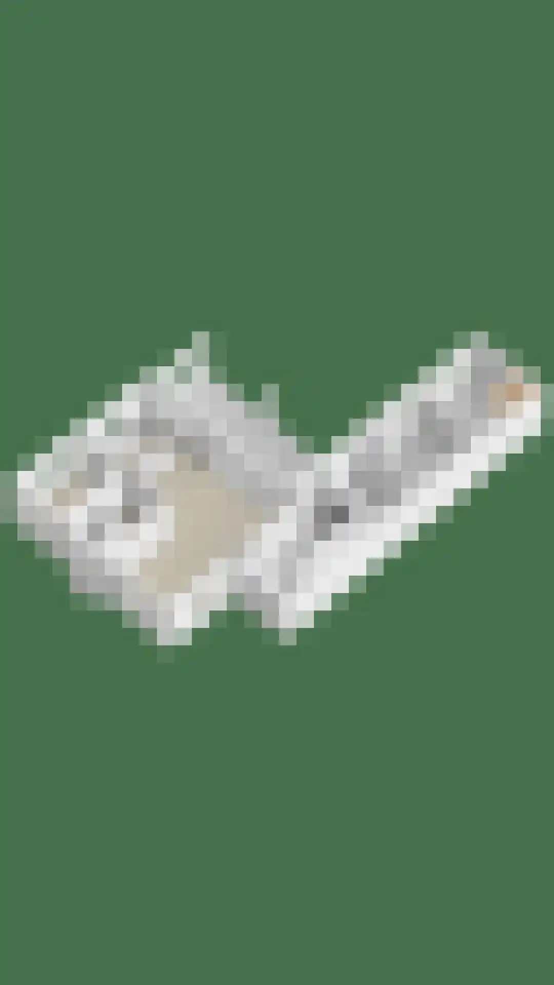 Mackenhof 14 Schaijk thumbnail 64