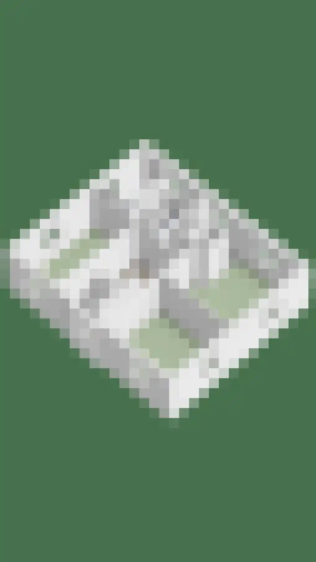 Mackenhof 14 Schaijk thumbnail 66