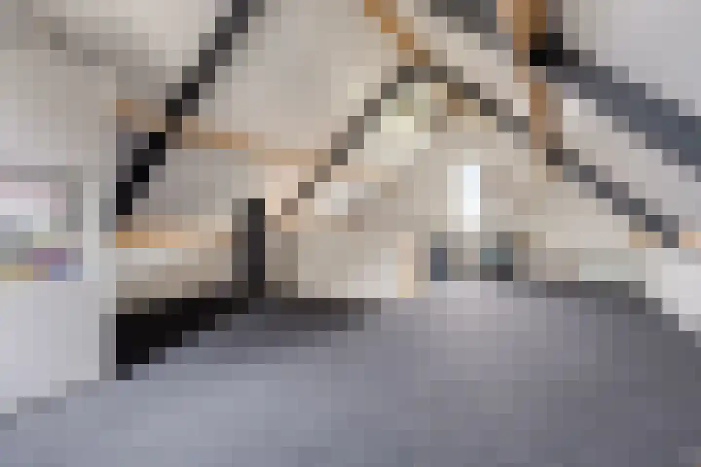 Mackenhof 14 Schaijk thumbnail 7