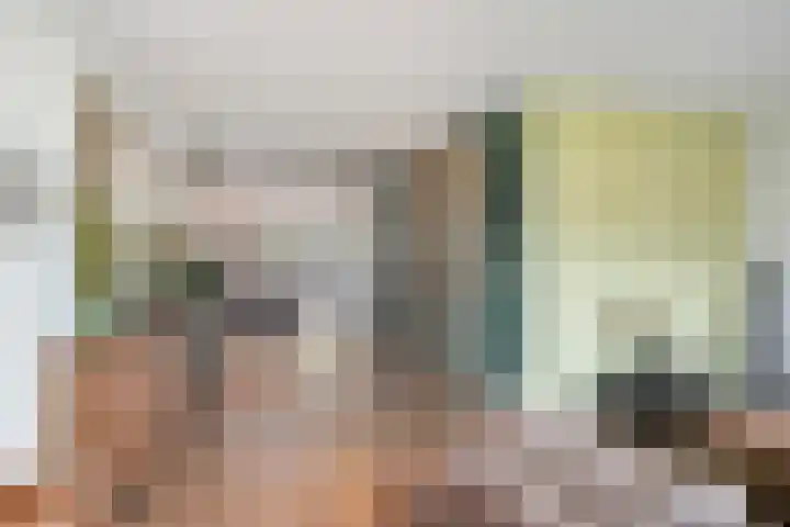 Mackenhof 2 Schaijk thumbnail 11