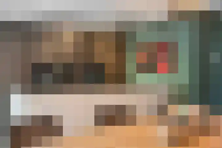 Mackenhof 2 Schaijk thumbnail 15
