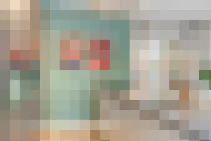 Mackenhof 2 Schaijk thumbnail 16